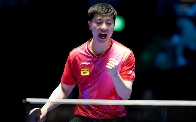 帮助森林在 帮助森林在