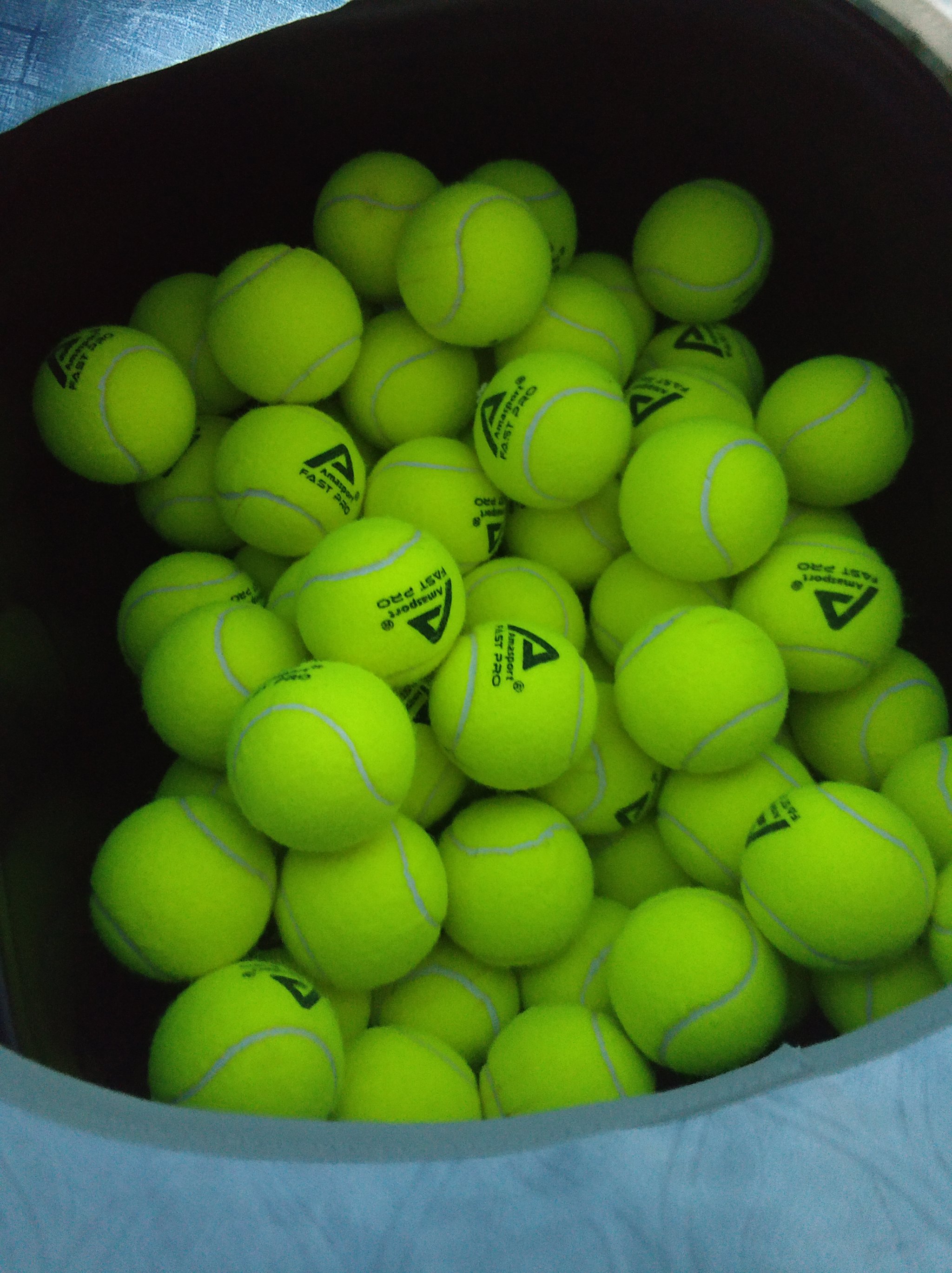 王楚钦展示 王楚钦展示